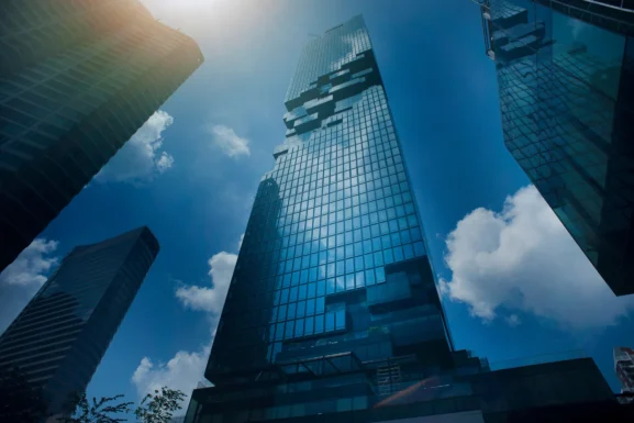 California Business Entity Search